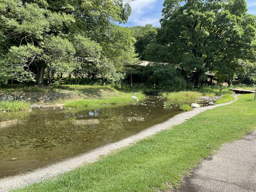 晴れ間が広がる一宮タワー周辺の公園と小川