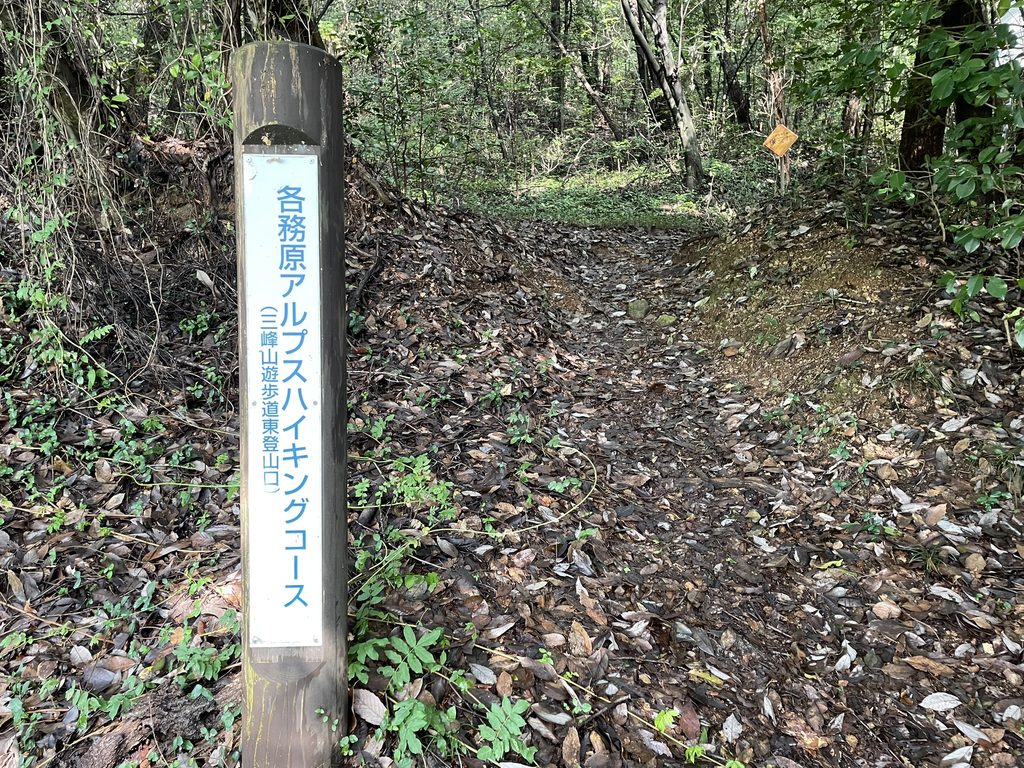 三峰山東登山口から続く登山道