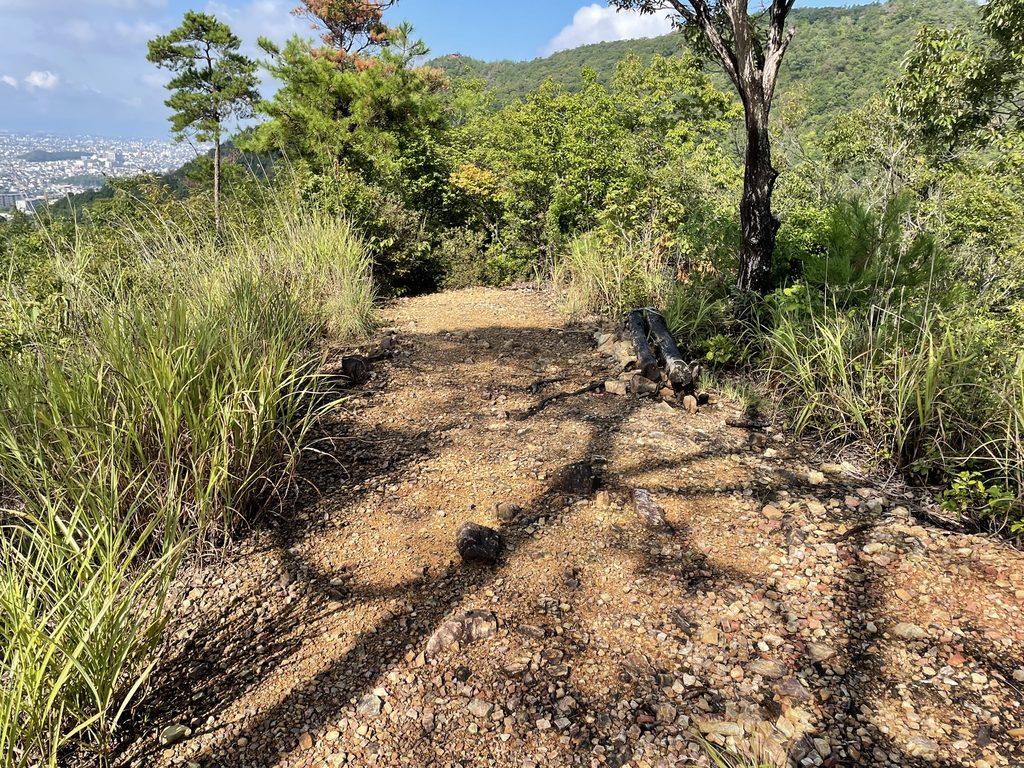 三峰山山頂へ向かう途中に現れた開けた場所