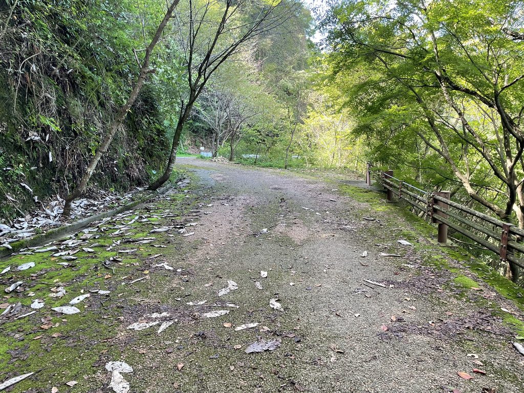 百々ヶ峰から舗装路を歩いて下山