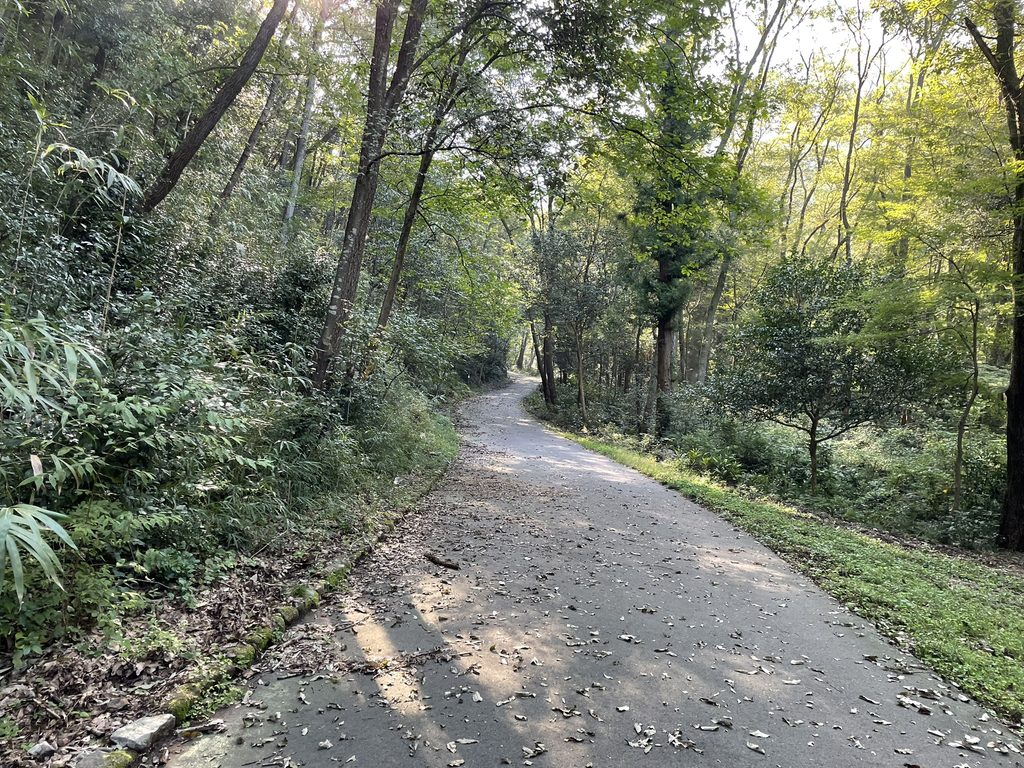 ながら川ふれあいの森から百々ヶ峰へ向かう舗装路