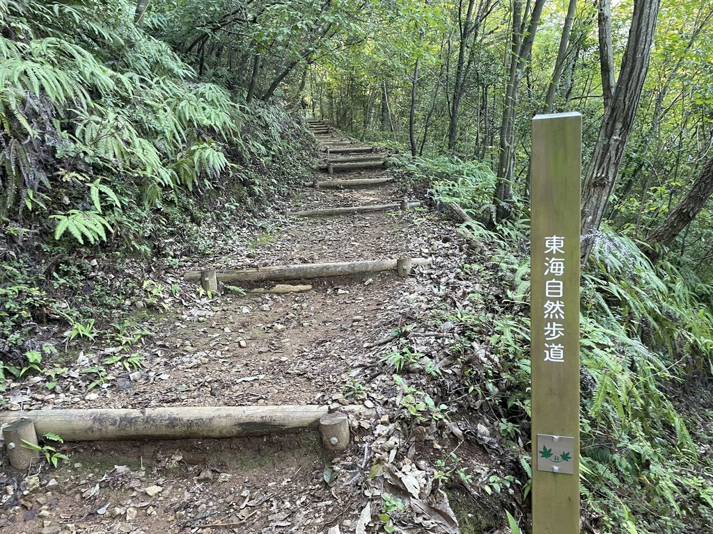 権現山へ向かう東海自然歩道の階段
