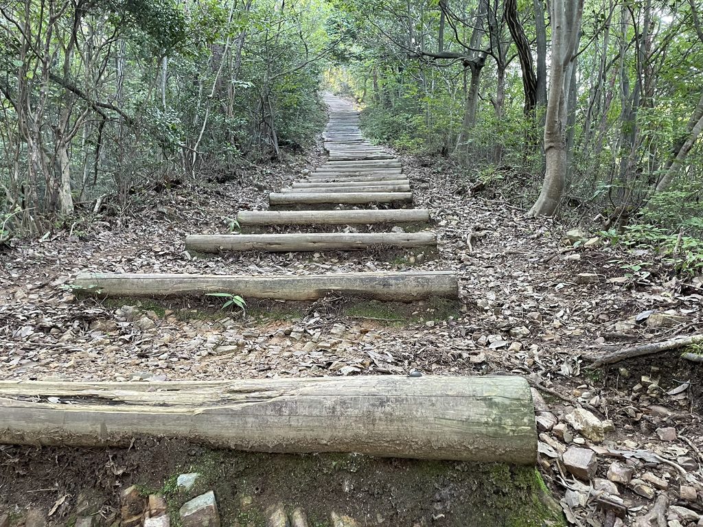 権現山へ向かって続く階段
