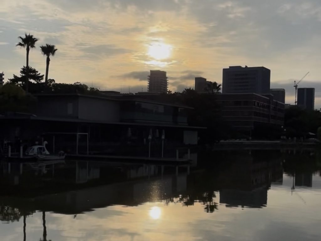 朝日が水面に映る大濠公園の池