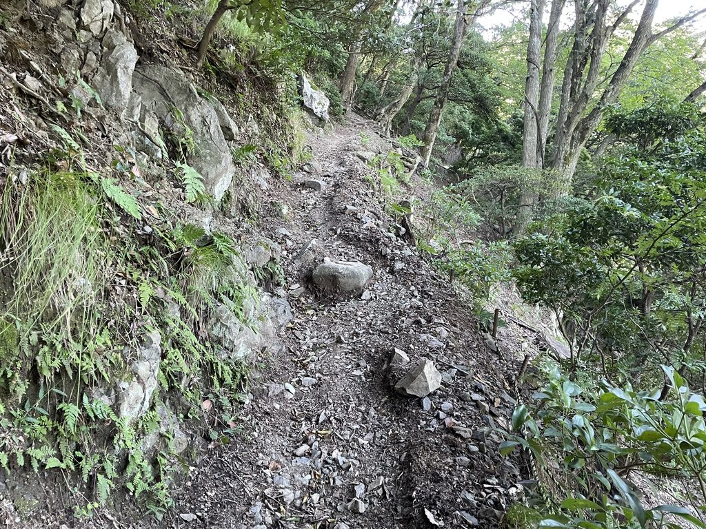 道幅が狭くなっている養老山の登山道