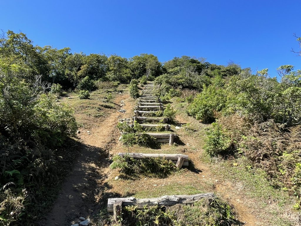 小倉山へ向かう途中の階段