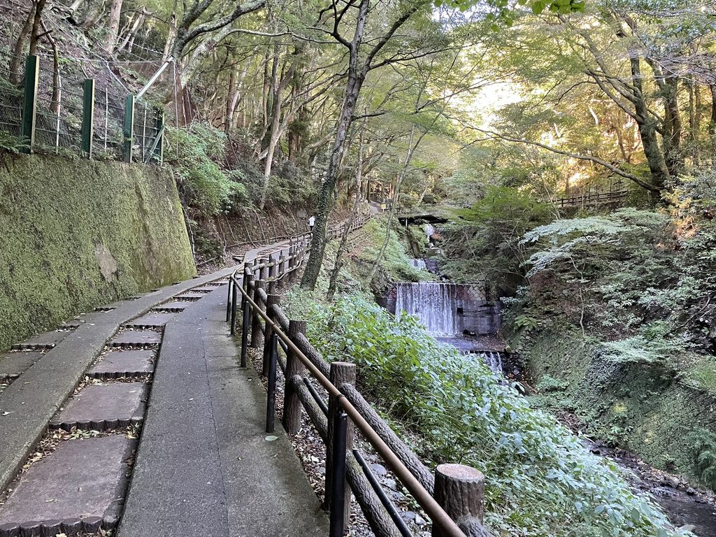 養老の滝へ続く遊歩道
