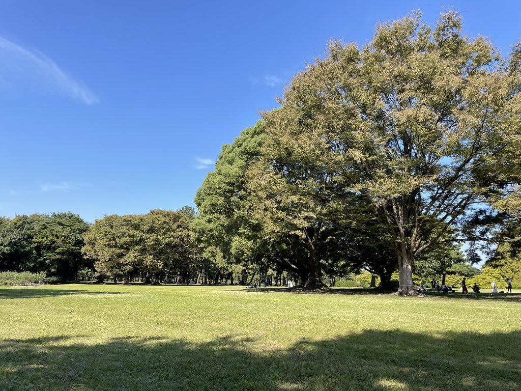 庄内緑地公園の芝生広場と木々